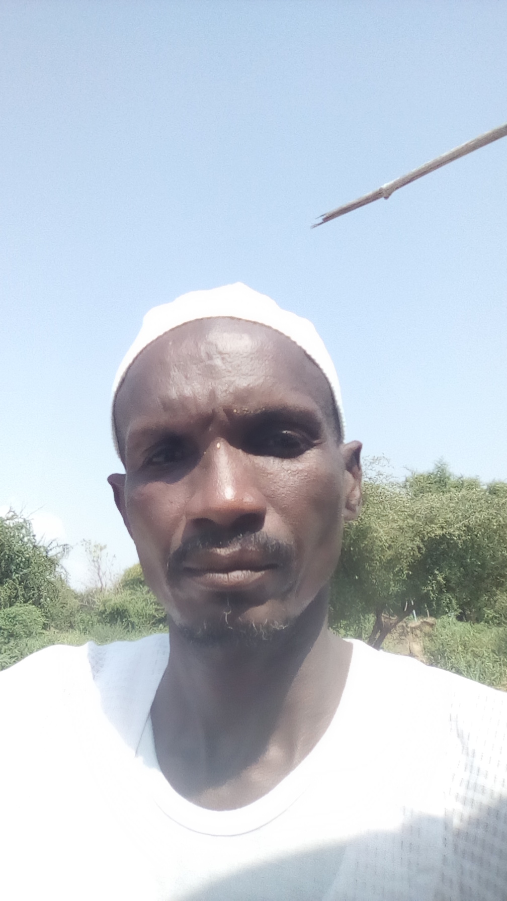 ���� ������ �����