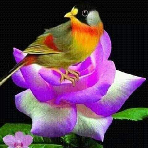 ���� �����_PVVwX