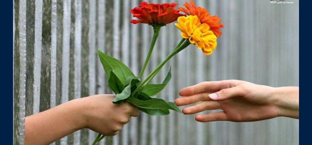 ���� ����_v7o6l