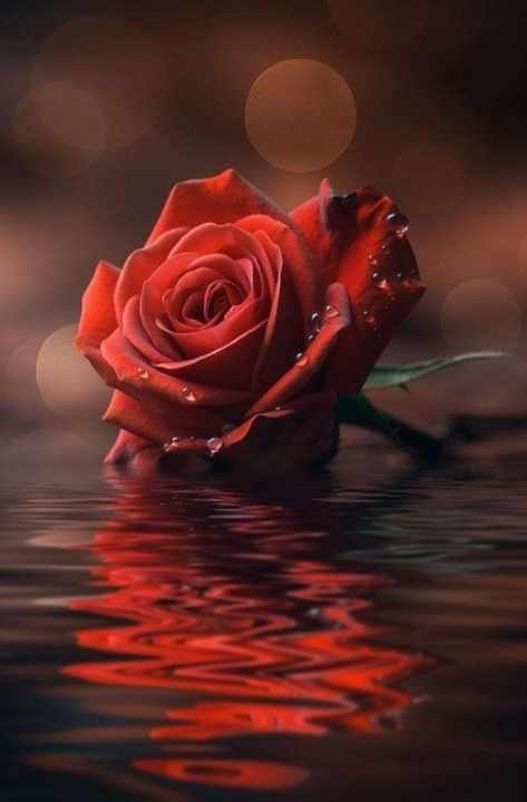 ���� ����