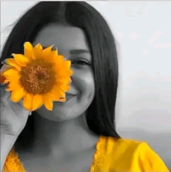 ����� ������_Sg29E