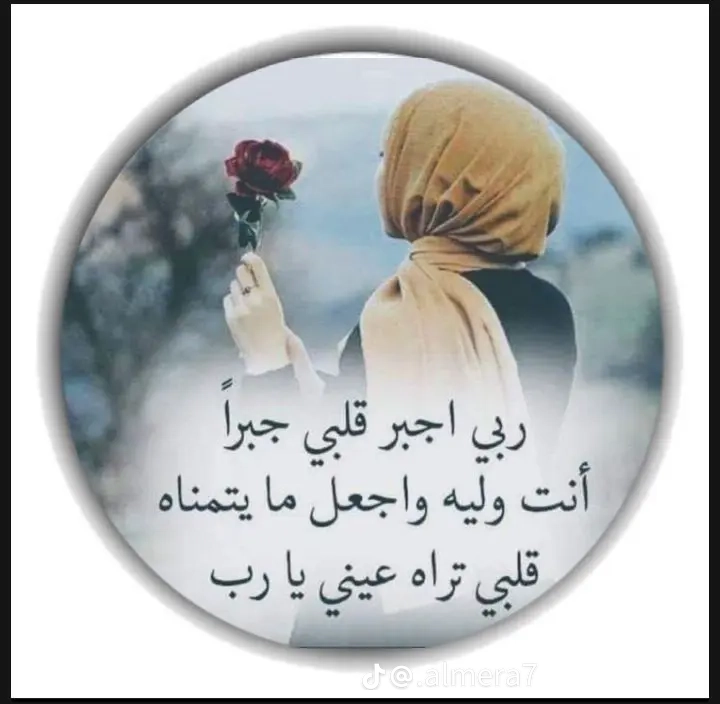 ����� ���������_XCEy5