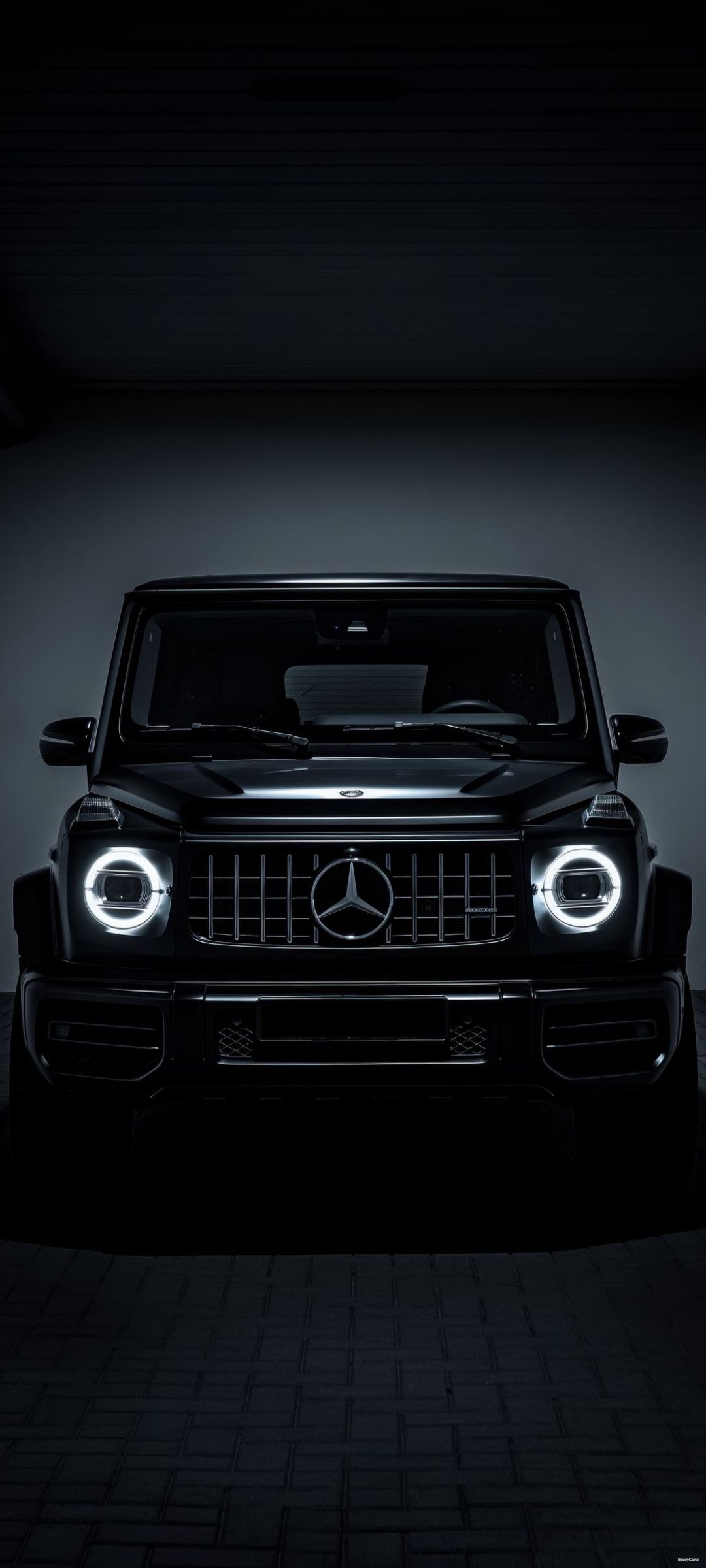 ������� �������_rbnye